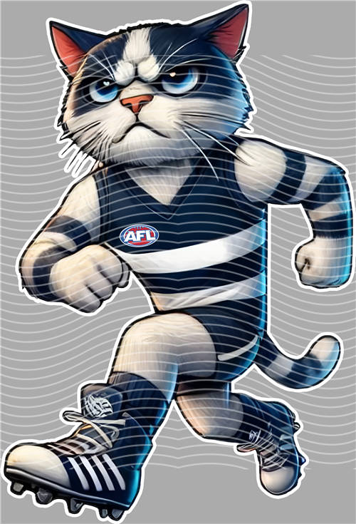 NBA and Team-QD 1379